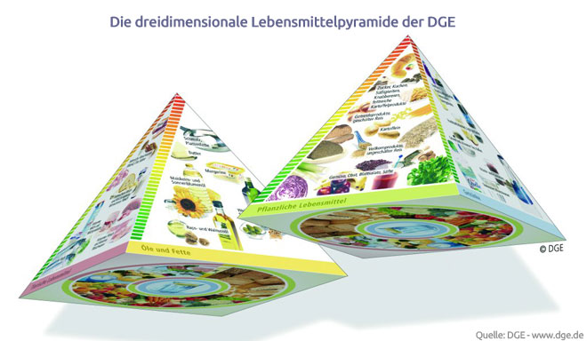 Die dreidimensionale Ernährungspyramide der DGE